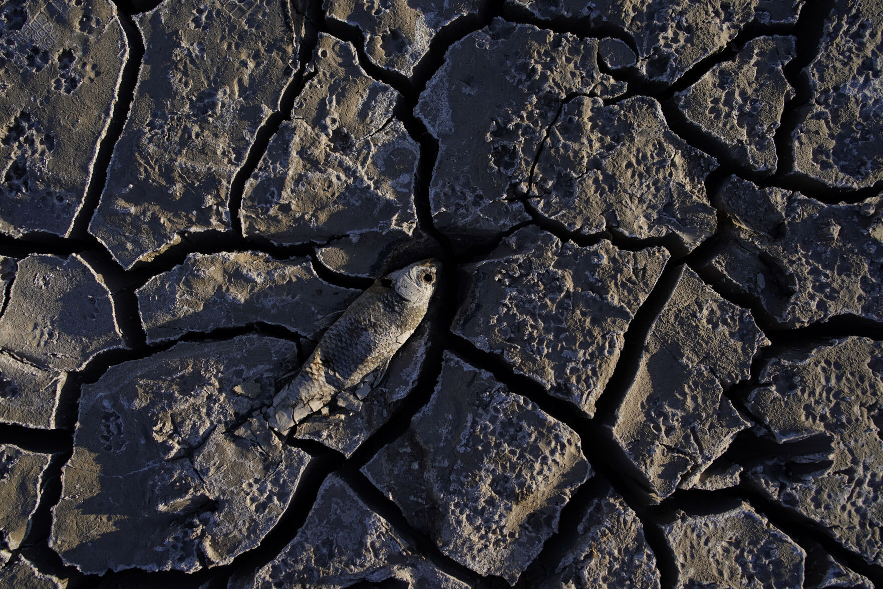APTOPIX Lake Mead Human Remains
